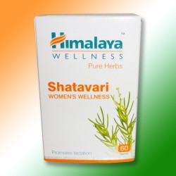 Шатаварі (Sharavari) - нормалізація гормонального рівня у жінок, 60 таб.
