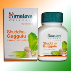 Shuddha Guggulu (Шуддха Гуггулу) - засіб для нормалізації холестерину, 60 таб.
