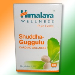 Shuddha Guggulu (Шуддха Гуггулу) - засіб для нормалізації холестерину, 60 таб.