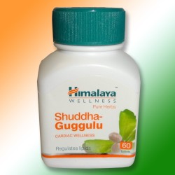 Shuddha Guggulu (Шуддха Гуггулу) - засіб для нормалізації холестерину, 60 таб.